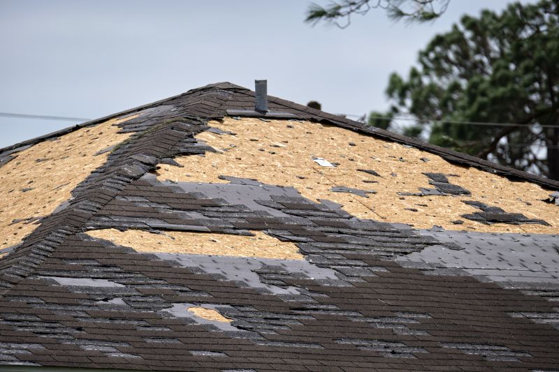Damaged Cedar Shingles